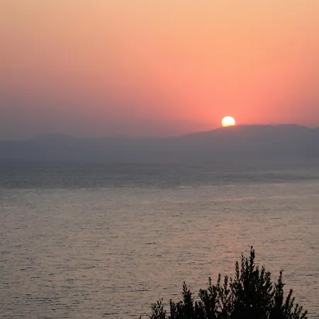 The House Of Blue Áfitosz