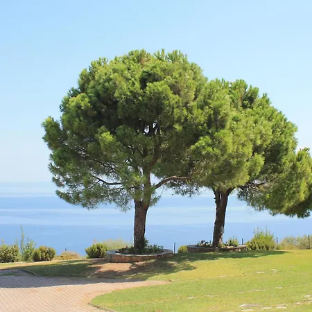 The House Of Blue * Áfitosz