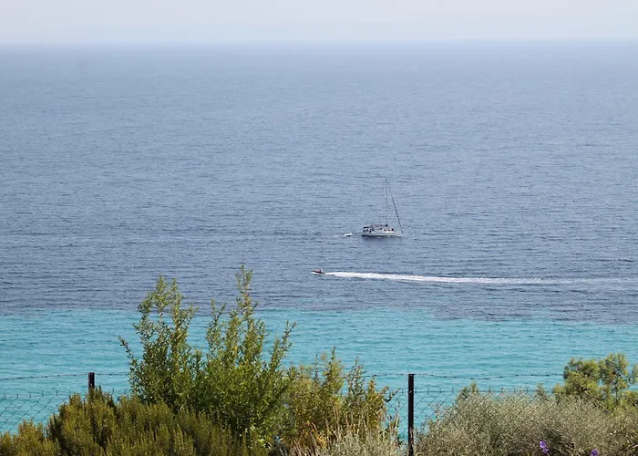 The House Of Blue * Áfitosz